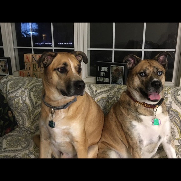 Meet your Posher, Diane - Picture 2 of 3